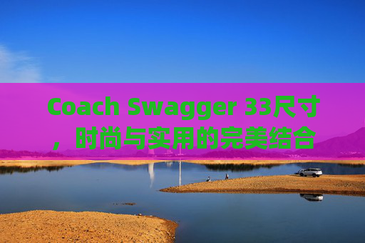 Coach Swagger 33尺寸，时尚与实用的完美结合
